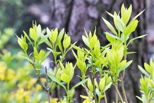生态环境部一周要闻（5.11—5.17）